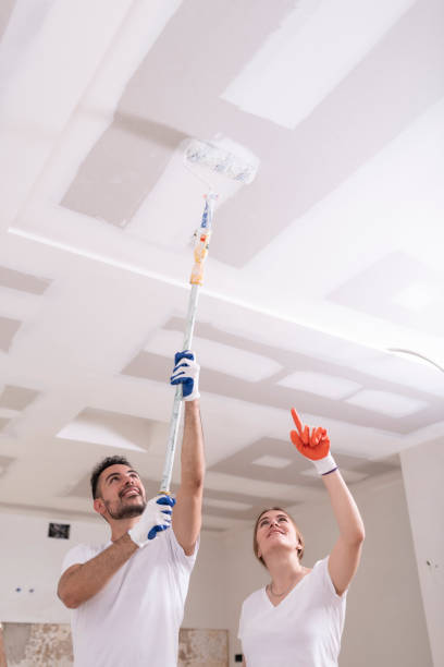 Churchville, NY Mold Removal Company